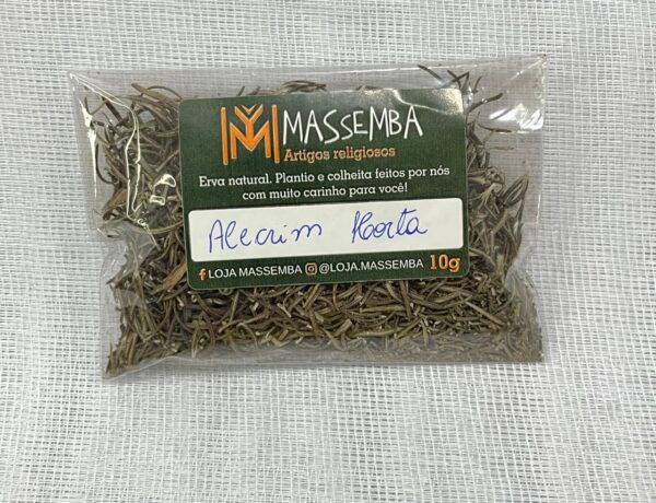 Erva Alecrim da Horta - Imagem 2