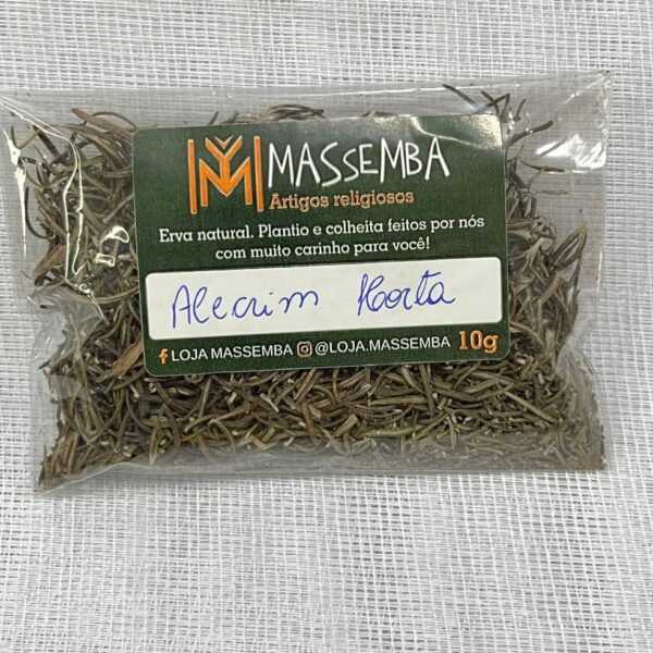 Erva Alecrim da Horta