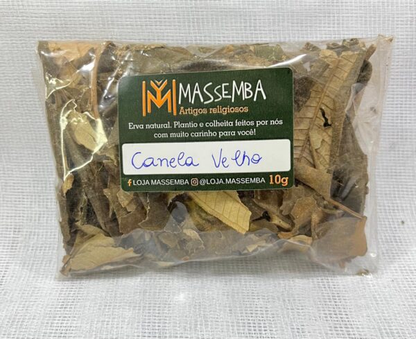 Erva Canela de Velho