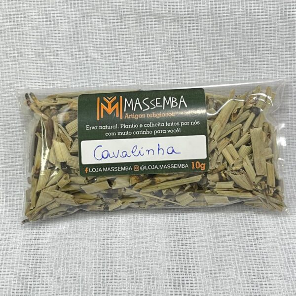 Erva Cavalinha
