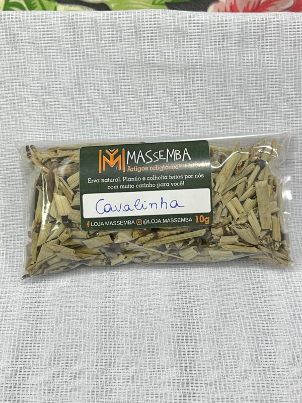 Erva Cavalinha