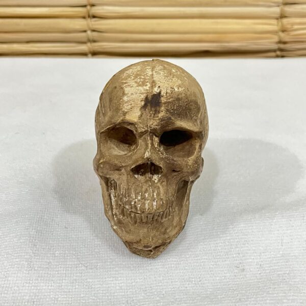Caveira de Gesso