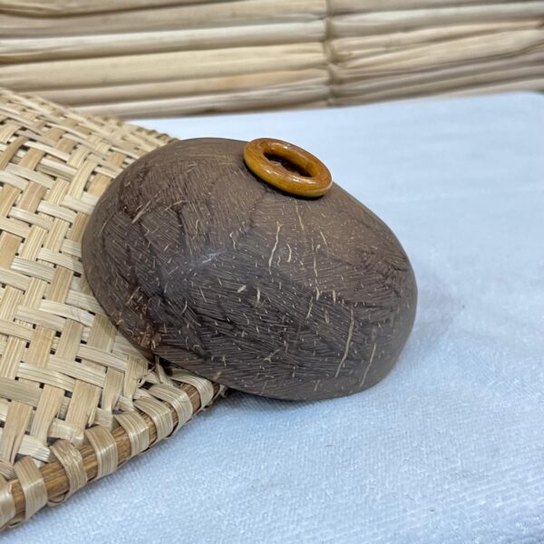Coité de Coco com Base em Argola de Madeira - Imagem 3