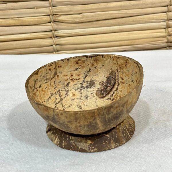 Coité de Coco com Base de Coco - Imagem 2