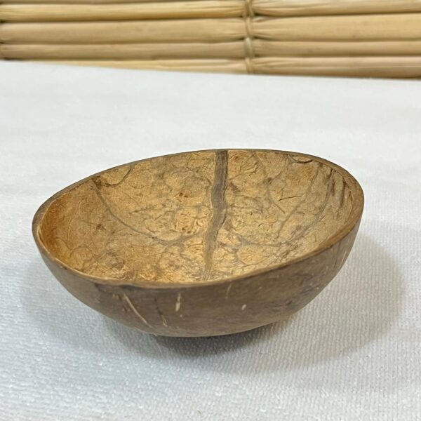 Coité de coco - sem base - Imagem 4
