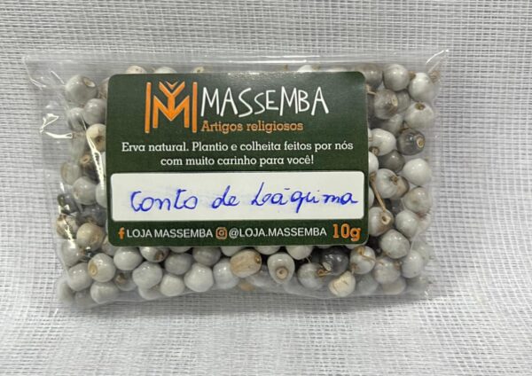 Sementes de Contas de Lágrima de Nossa Senhora