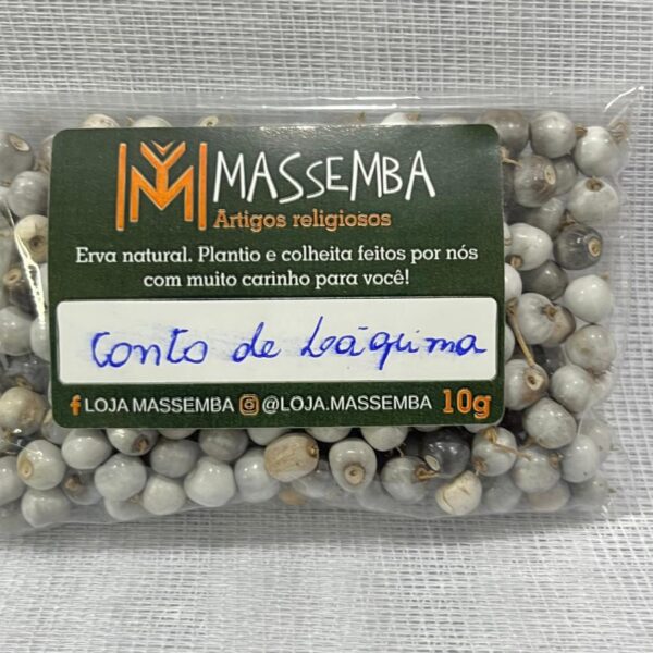 Sementes de Contas de Lágrima de Nossa Senhora