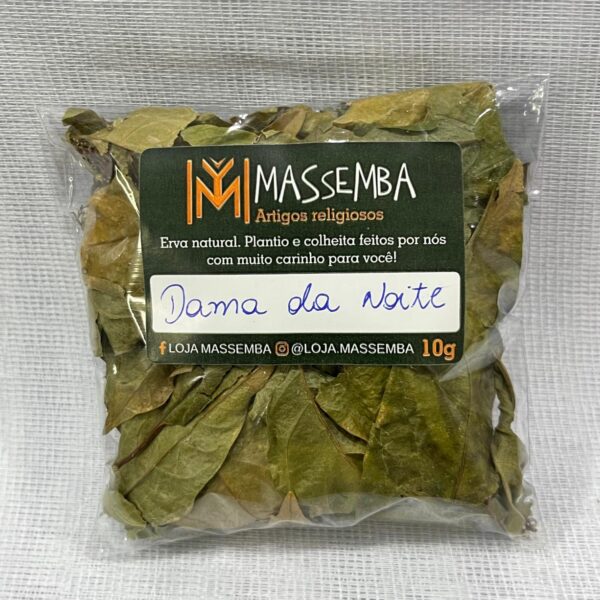 Erva Dama da Noite