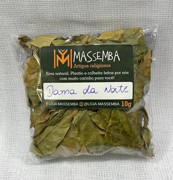 Erva Dama da Noite