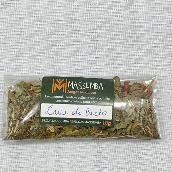 Erva de Bicho