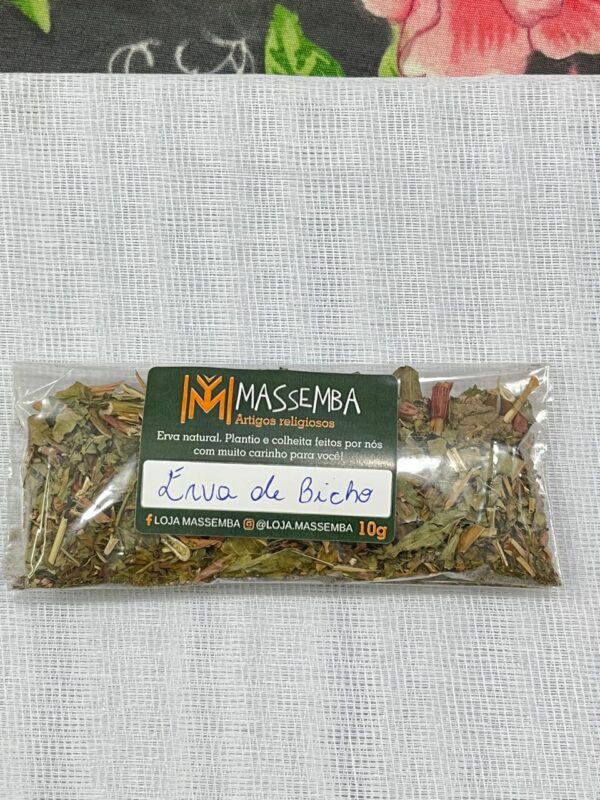 Erva de Bicho