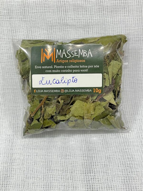 Erva Eucalipto