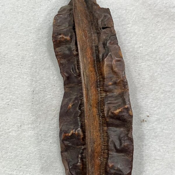 Fava de Aridan - Unidade