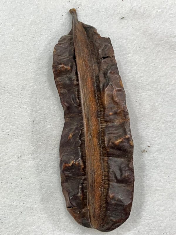 Fava de Aridan - Unidade