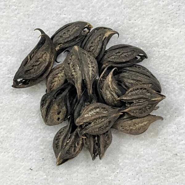 Fava Garra de Pomba Gira - Unidade