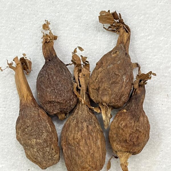 Fava De Atarê - Unidade