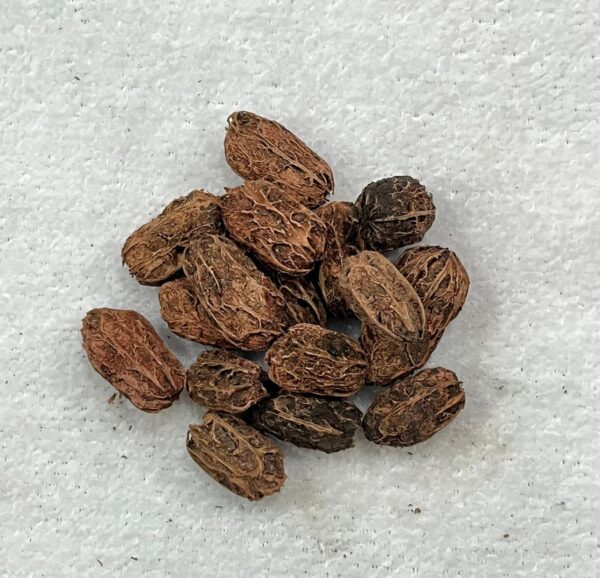 Fava de Exu - Unidade