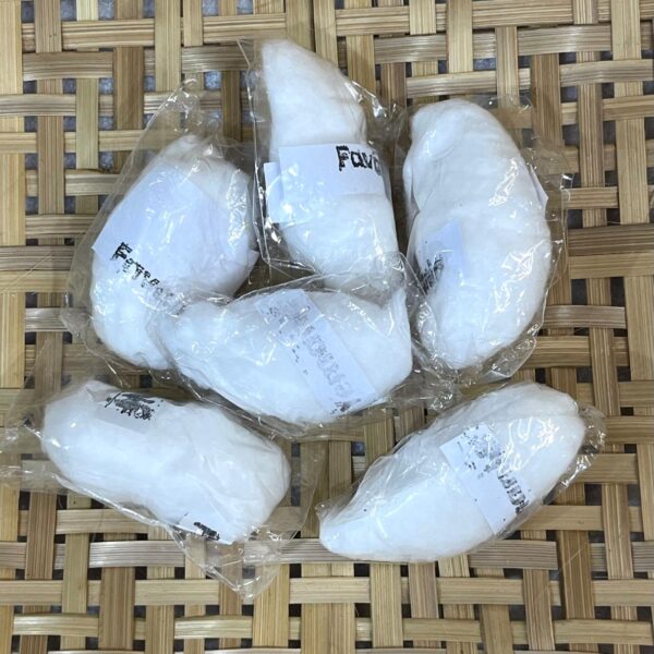Fava de Iemanjá - Unidade