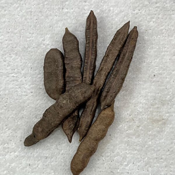 Fava de Nanã - Unidade