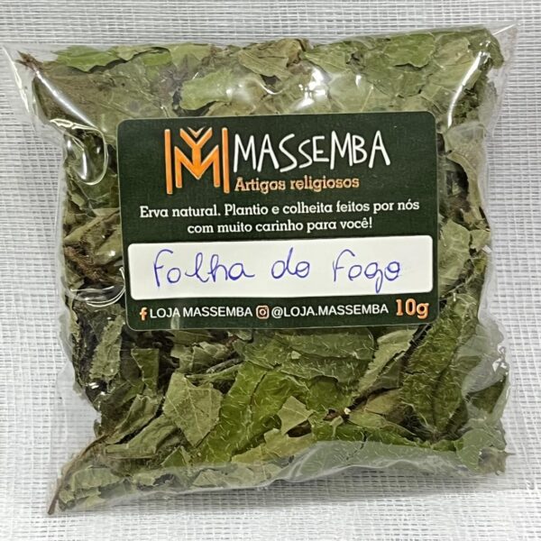 Erva Folha do Fogo