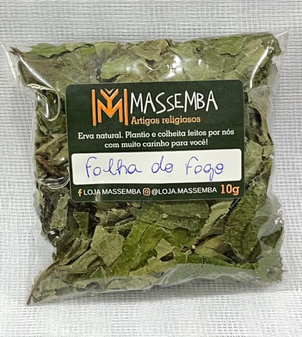 Erva Folha do Fogo
