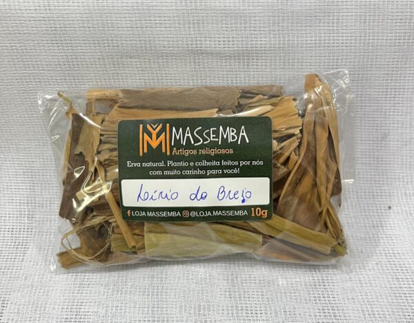Erva Lírio do Brejo