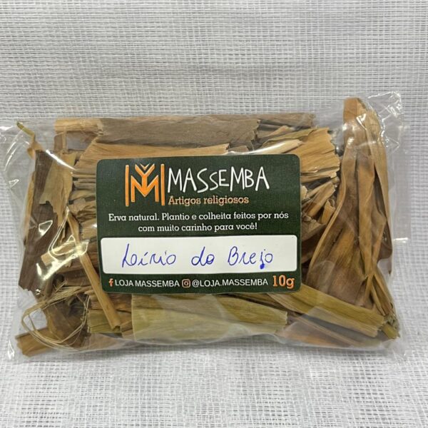 Erva Lírio do Brejo