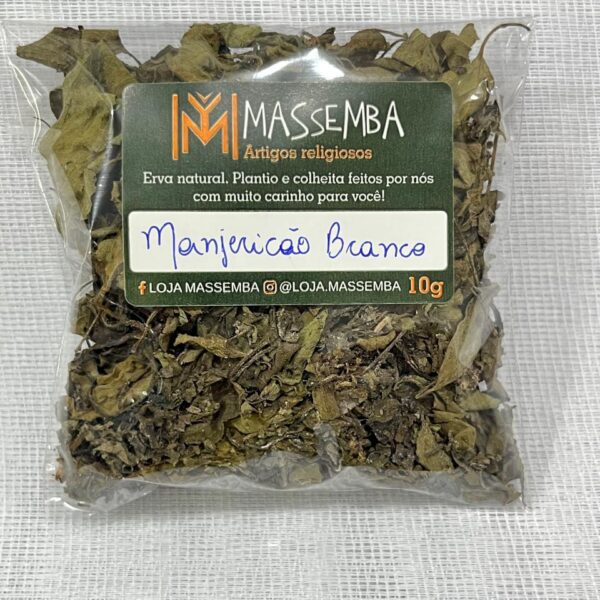 Erva Manjericão Branco