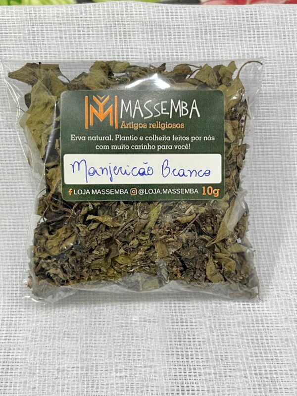 Erva Manjericão Branco