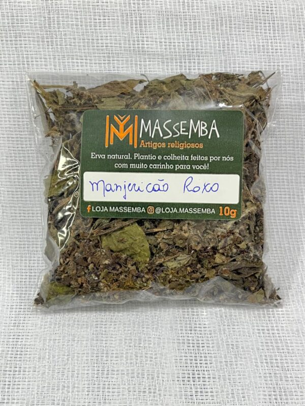 Erva Manjericão Roxo