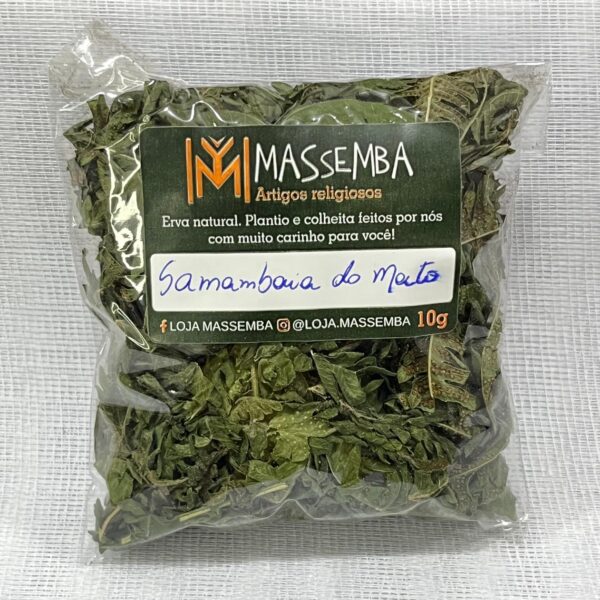 Erva Samambaia do Mato