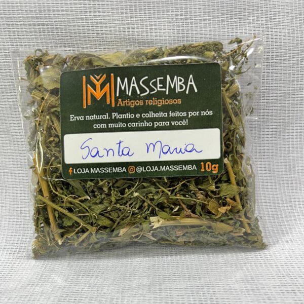 Erva Santa Maria