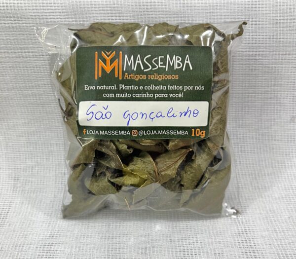 Erva São Gonçalinho
