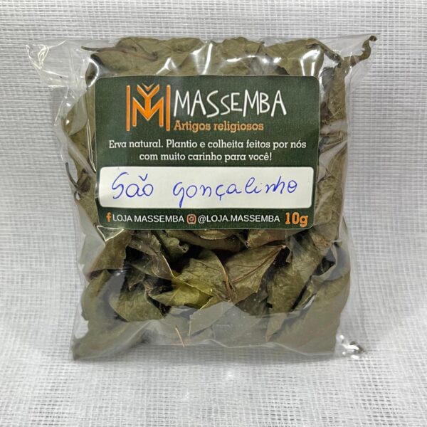 Erva São Gonçalinho